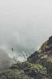 Alex Martinez avatar