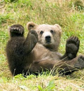 Leo Anders profile photo