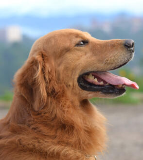 Alex Martinez avatar