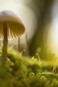 Jonas Richter profile photo