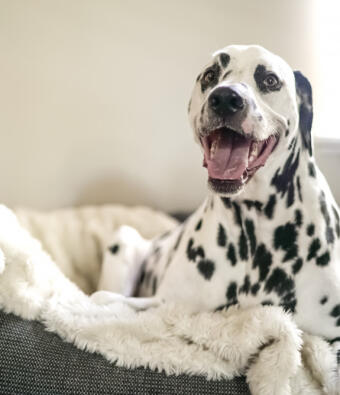 Leo Anders profile photo