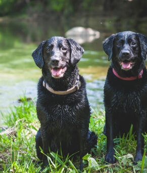 Jonas Richter profile photo