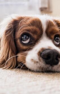 Alex Martinez avatar