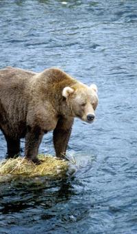 Leo Anders profile photo