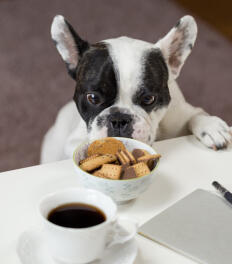 Jonas Richter profile photo