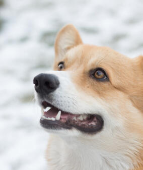 Alex Martinez avatar