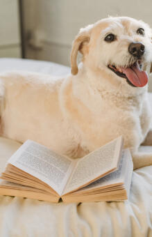 Jonas Richter profile photo