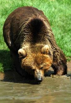 Leo Anders profile photo