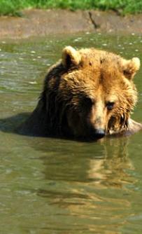 Jonas Richter profile photo