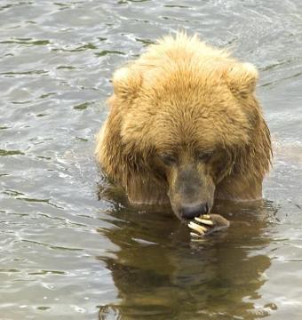 Jonas Richter profile photo