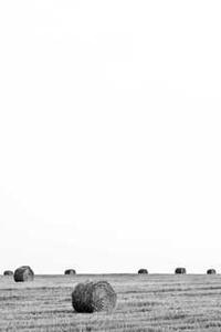 Alex Martinez avatar