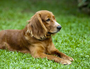 Alex Martinez avatar