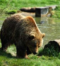 Jonas Richter profile photo