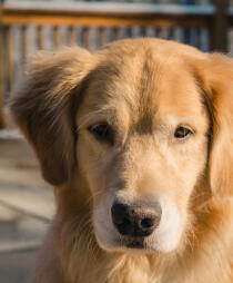 Leo Anders profile photo