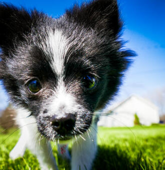 Alex Martinez avatar